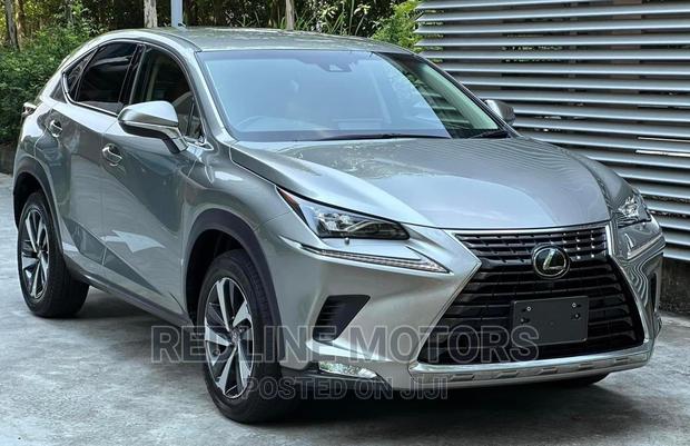 Luxury Lexus NX 2019 in Silver - Premium Offer