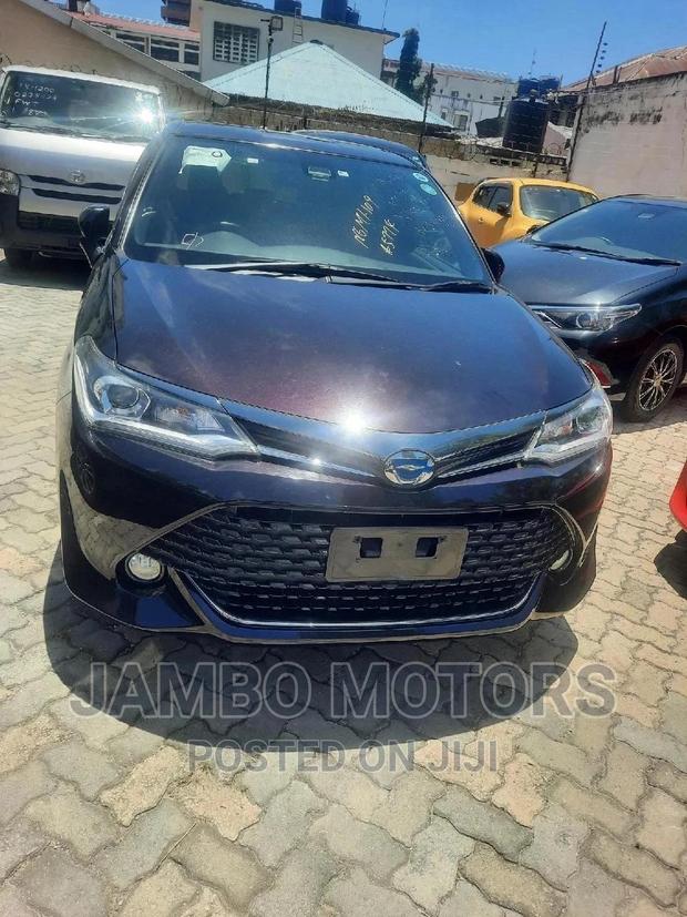 2016 Toyota Corolla Fielder in Purple - Used Car Listing