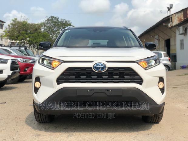 2019 Toyota RAV4 in White: Affordable Used