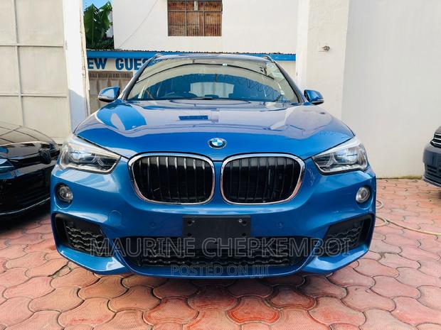 2016 Blue BMW X1 - Luxury Compact SUV for Less