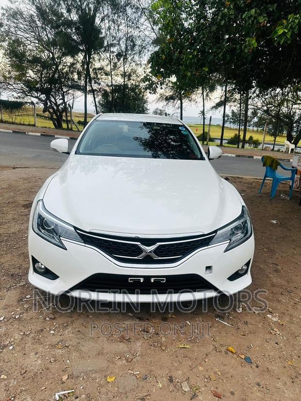 2017 Toyota Mark X: Luxurious Pearl Edition