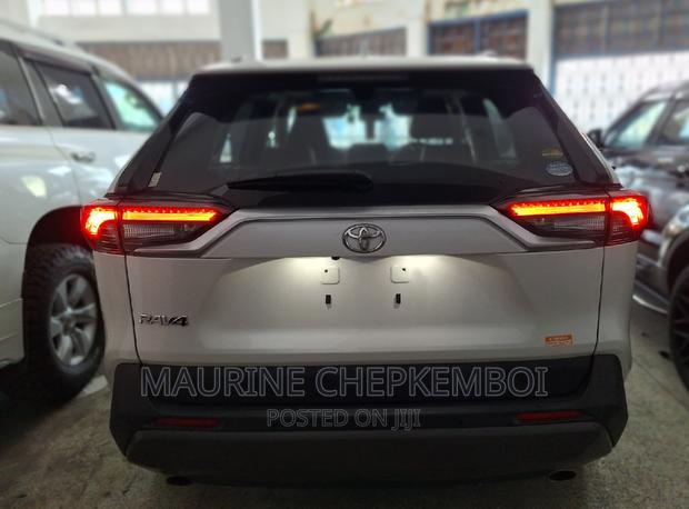 2019 Toyota RAV4 Off-White: Explore Two Unique Versions