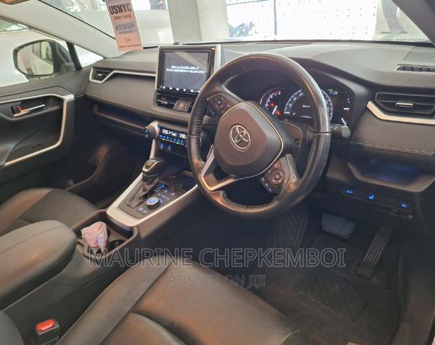 2019 Toyota RAV4 Off-White: Explore Two Unique Versions