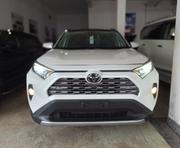 2019 Toyota RAV4 Off-White: Explore Two Unique Versions for sale