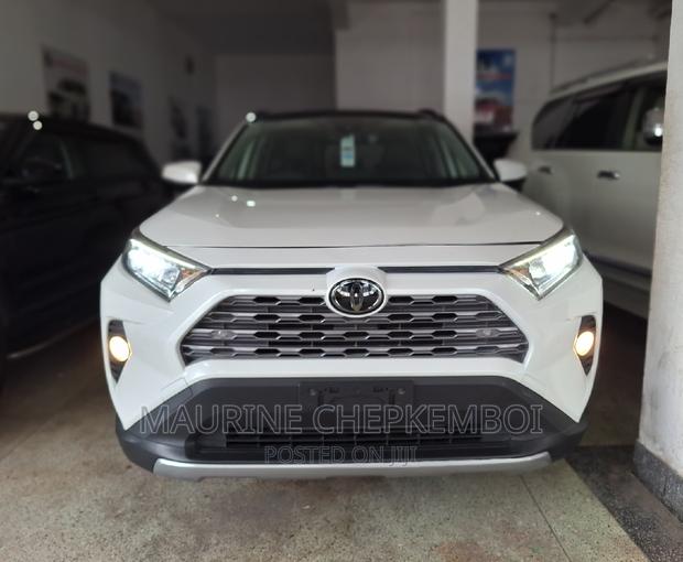 2019 Toyota RAV4 Off-White: Explore Two Unique Versions