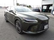 New 2023 Lexus RX 350 in Green: A Stylish Drive Awaits for sale