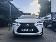 Luxury 2017 Lexus NX in Off-White: Experience the Ultimate Drive for sale