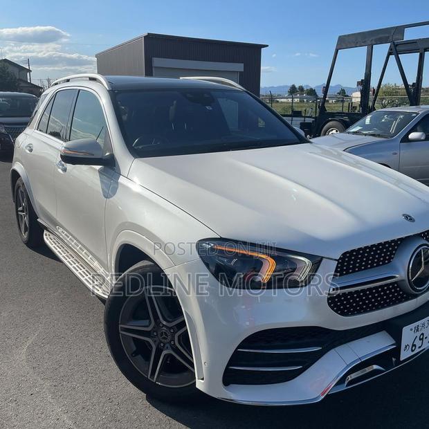 2019 Mercedes-Benz GLE 450 4MATIC - White Luxury SUV