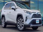 2019 Toyota RAV4 Pearl: Unmatched Fuel Efficiency and Safety for sale