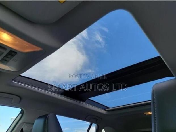 2019 Toyota RAV4 Pearl: Unmatched Fuel Efficiency and Safety