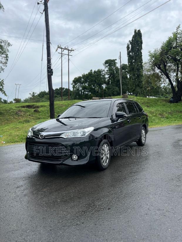 Toyota Corolla Fielder 2017 Black