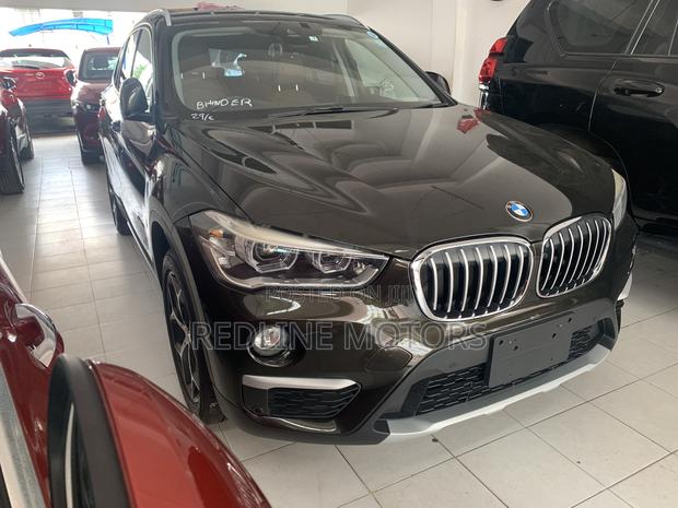 2017 BMW X1 with Green Exterior - Compact SUV