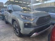 New 2019 Toyota RAV4 Adventure Green: Ready for Adventure for sale