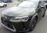 Green 2019 Lexus UX 200: Eco-Friendly SUV for Adventure for sale