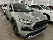 Toyota RAV4 Adventure 2019 Green for sale