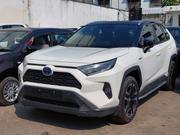 Toyota RAV4 2019 Pearl for sale