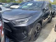 Toyota RAV4 XLE AWD 2019 Gray for sale