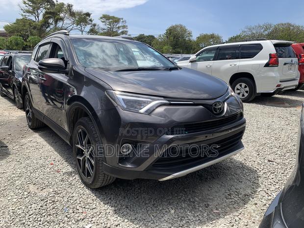 Toyota RAV4 SE AWD (2.5L 4cyl 6A) 2016 Gray