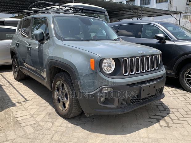 Jeep Renegade 2017 Gray