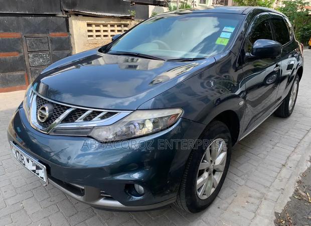 Nissan Murano 2013 Blue