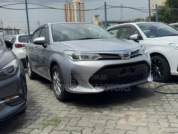 Toyota Axio 1.5 G 2WD 2018 Gray