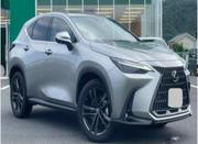 Lexus NX 250 FWD 2021 Silver for sale