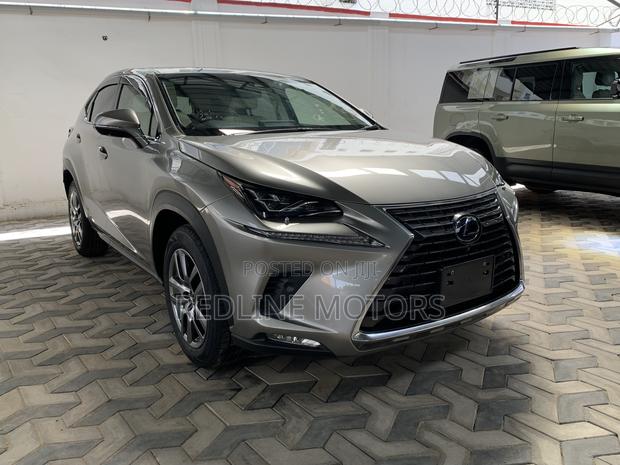 Lexus NX 300h Base 4x4 (2.5L 4cyl 2A) 2017 Ivory