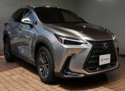 Lexus NX 2022 Silver for sale