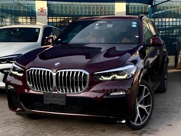 BMW X5 xDrive40i AWD 2019 Burgundy