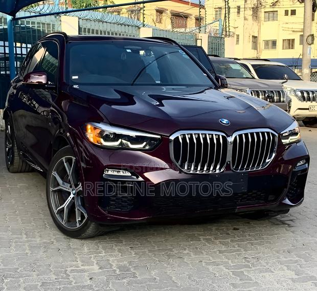 BMW X5 xDrive40i AWD 2019 Burgundy