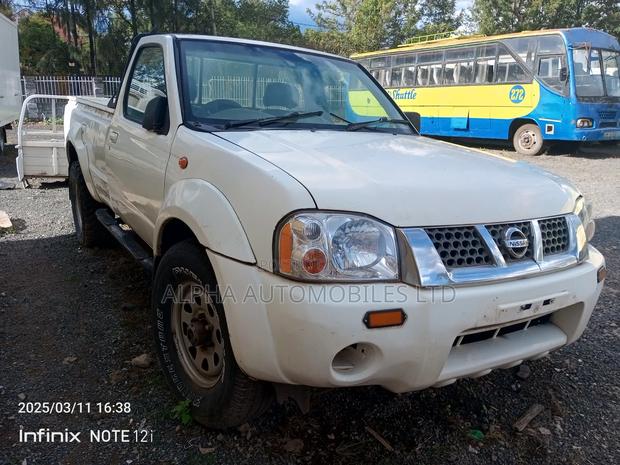 Nissan Hardbody 2010 White