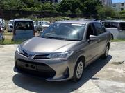 Toyota Axio 2018 Brown for sale