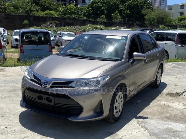 Toyota Axio 2018 Brown