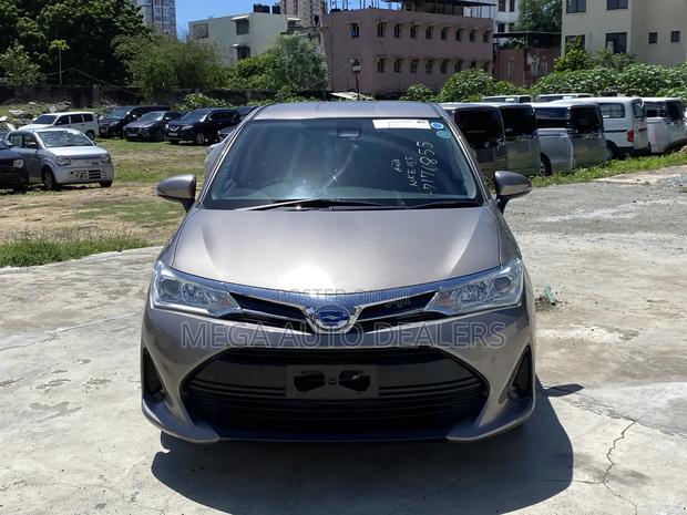 Toyota Axio 2018 Brown