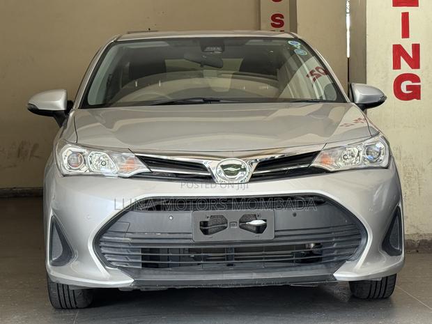 Toyota Axio 2018 Gold