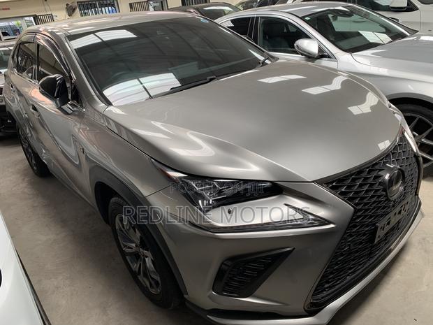 Lexus NX 300 FWD 2018 Silver