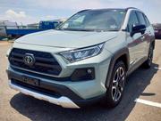 Toyota RAV4 Adventure 2019 for sale
