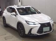 Lexus NX 2022 White for sale