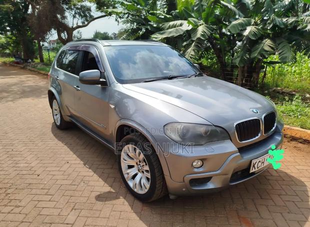 BMW X5 3.0si 2009 Gray