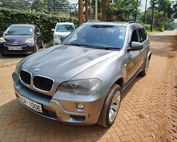 BMW X5 3.0si 2009 Gray