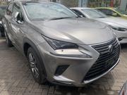 Lexus NX 300 FWD 2018 Silver for sale