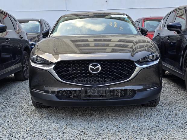 Mazda CX-30 Premium i-Activ 2020 Gray