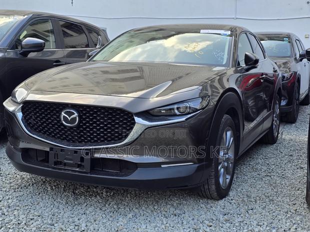 Mazda CX-30 Premium i-Activ 2020 Gray