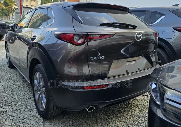 Mazda CX-30 Premium i-Activ 2020 Gray