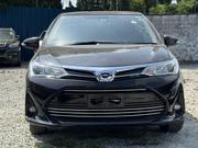 Toyota Axio 2019 Black for sale
