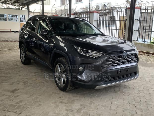 Toyota RAV4 Hybrid 2020 Gray