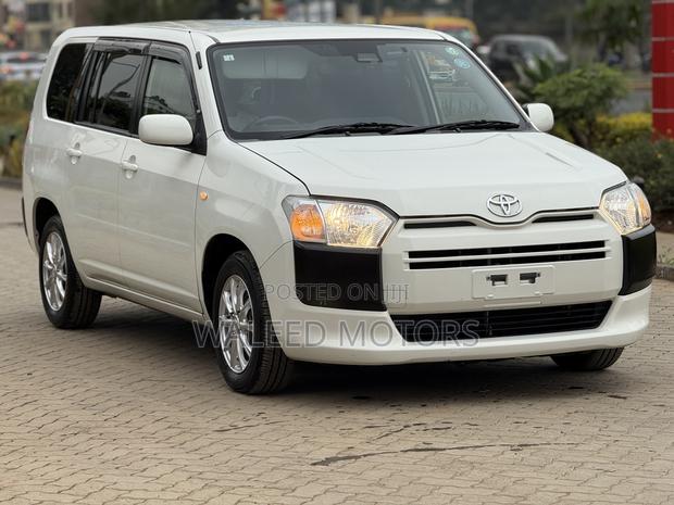 Toyota Probox 1.3 DX 2WD 2020 Pearl