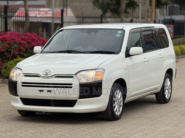 Toyota Probox 1.3 DX 2WD 2020 Pearl