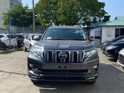 Toyota Land Cruiser Prado 2020 Silver for sale