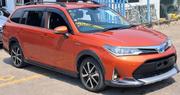 Toyota Corolla Fielder 2019 Orange for sale